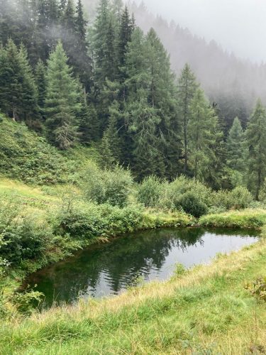 2026-08-25-13.15.21