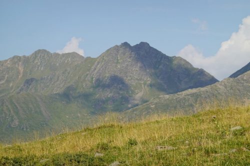 DSC02303