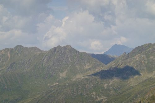 DSC02306