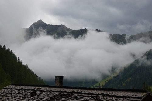 DSC02324