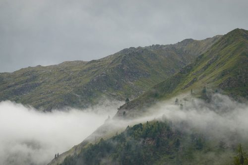 DSC02326