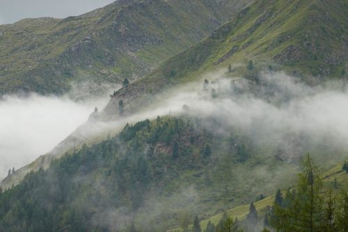 DSC02327
