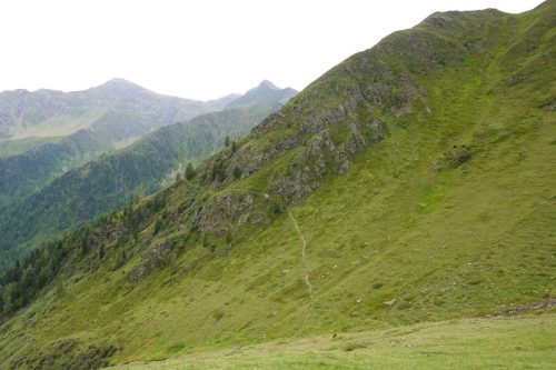 DSC02347
