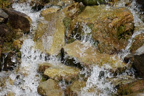 DSC02411