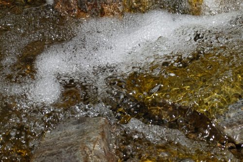 DSC02413