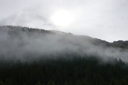 DSC02440