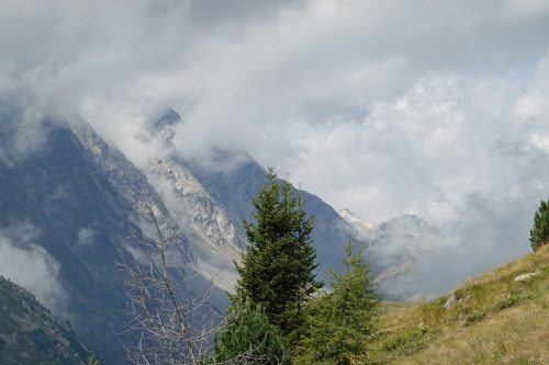 DSC02489