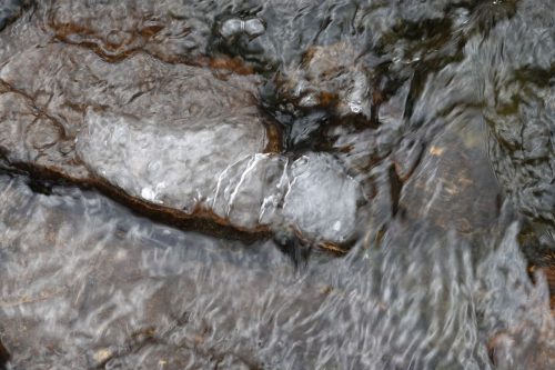 DSC02500