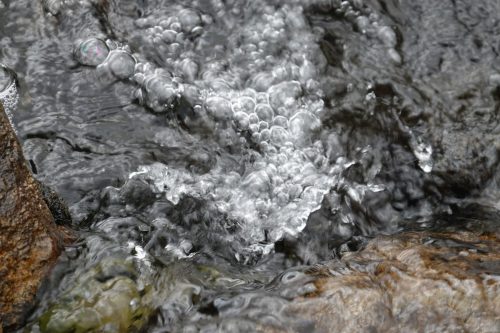 DSC02501