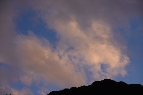 DSC02513