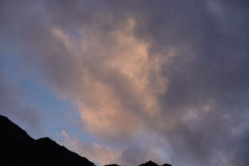 DSC02515