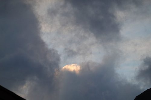 DSC02516