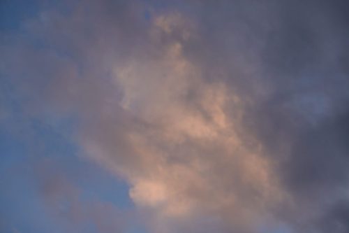 DSC02517