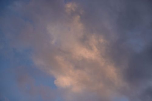 DSC02518