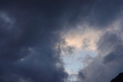 DSC02520