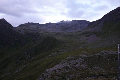 DSC02524