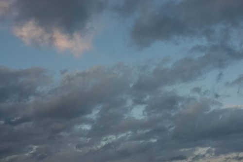 DSC02527