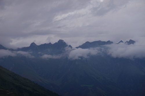 DSC02529