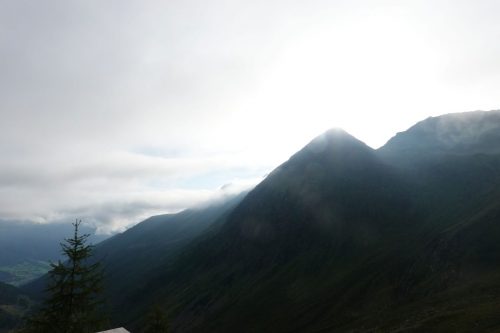 DSC02530