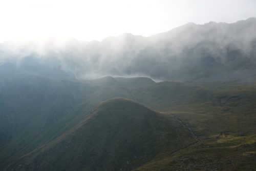 DSC02535