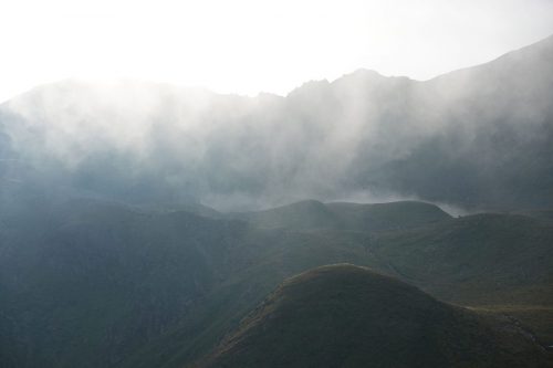 DSC02537