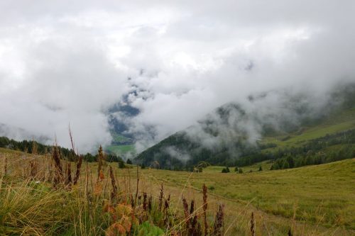 DSC02556