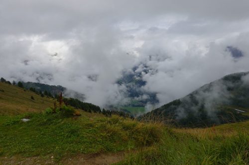DSC02559