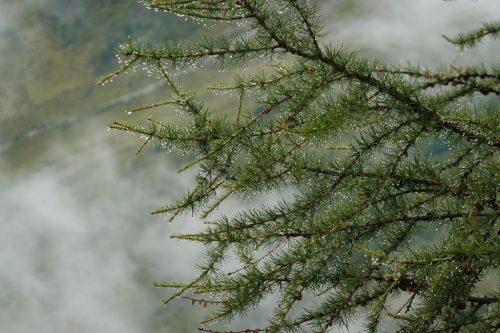 DSC02564