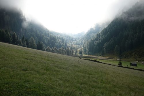 DSC02585