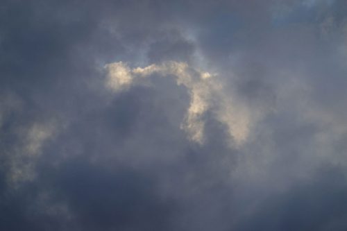 DSC02609
