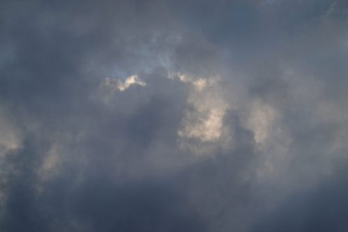 DSC02610