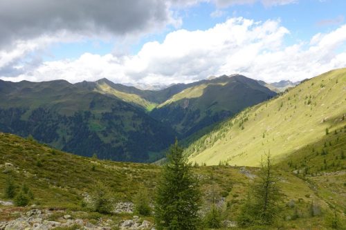 DSC02633