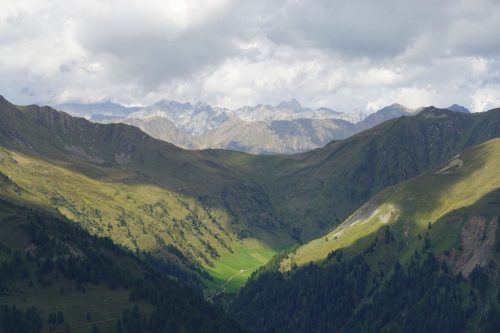 DSC02635