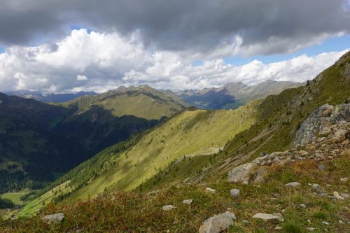 DSC02654