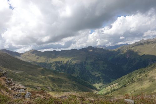 DSC02655
