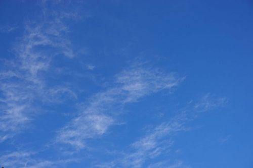 DSC02688