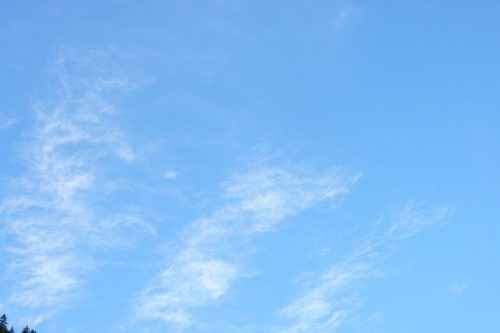 DSC02690