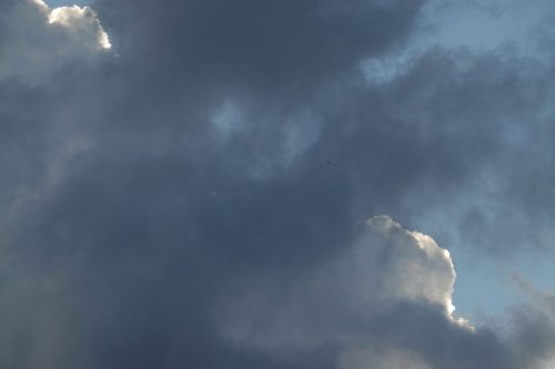 DSC02726